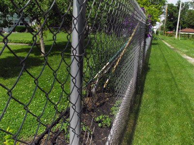 chain link fence
