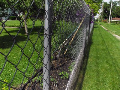 chain link fence