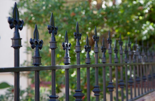 Ornamental Iron and Wrought Iron fence