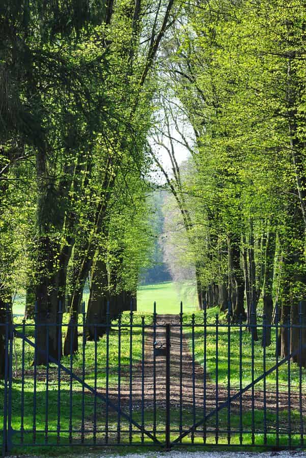 fence in green place