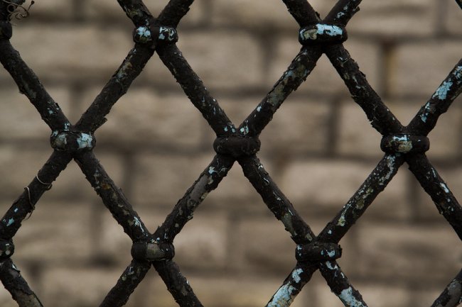 CHAIN LINK FENCE