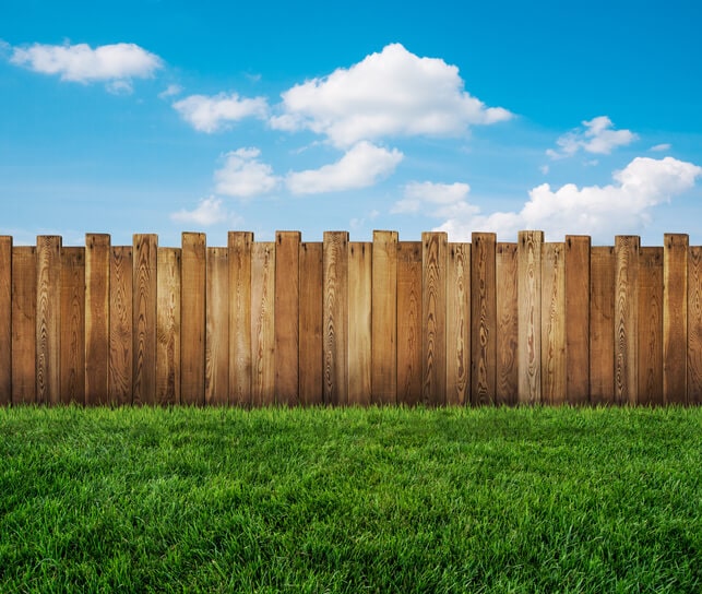 Summer Fence Maintenance Tips